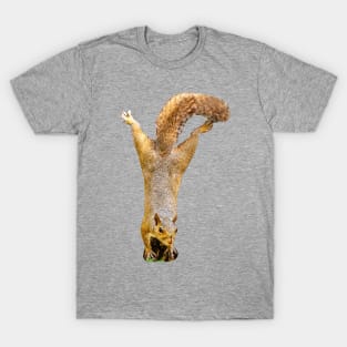 Where are my Nuts? T-Shirt